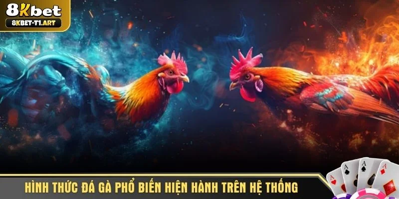 Hình thức đá gà phổ biến hiện hành trên hệ thống